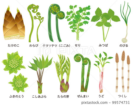 Spring wild vegetable set Spring wild vegetable set 99574731