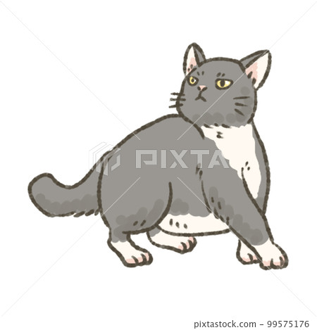 一隻毛茸茸的貓的插圖 99575176