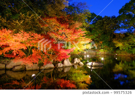 Swan Garden Illumination (Atsuta Ward, Nagoya City, Aichi Prefecture) Swan Garden Illumination (Atsuta Ward, Nagoya City, Aichi Prefecture) 99575326