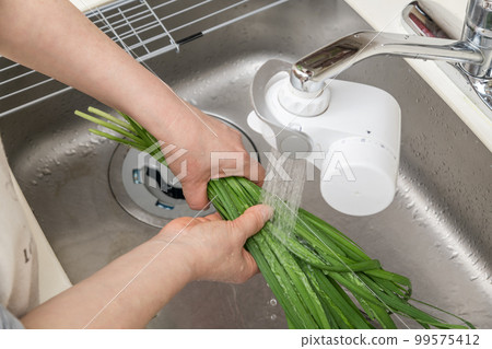 [Wash the leek] 99575412