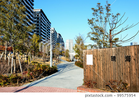 Harumi Flag and Harumi Green Road Park under construction in Tokyo High-rise condominiums Harumi Flag and Harumi Green Road Park under construction in Tokyo High-rise condominiums 99575954