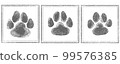 Paws Stamp Footprints 99576385