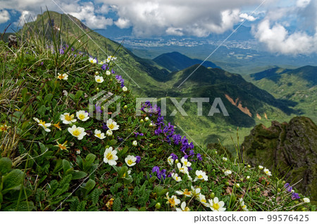 Mt.Amidadake and the townscape of Chino seen from the ridgeline of Mt.Yokodake where alpine plants bloom 99576425