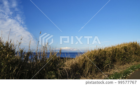 Winter in Jogashima Winter in Jogashima 99577767