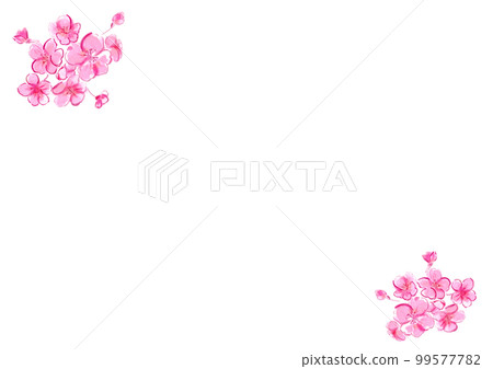 Cherry blossom hand drawn Japanese style vector illustration 99577782