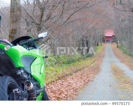 深秋參拜神社 深秋參拜神社 99578173