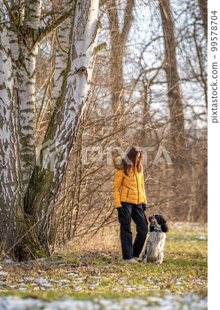 teenager in the park with a dog. english setter 99578704