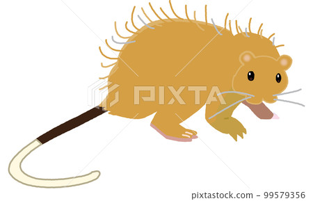 Creatures of the world natural heritage island Worley rat soft tone 99579356