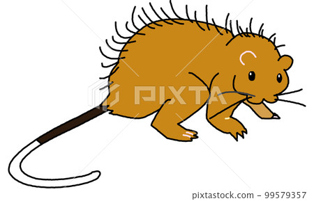 Creatures of the world natural heritage island Worley rat pop style Creatures of the world natural heritage island Worley rat pop style 99579357