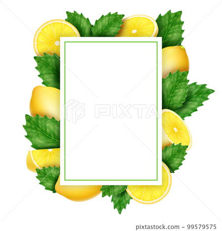 Lemon border, fruit background, flower frame. Corner with tree branch and green leaves, realistic citrus lemonade, herb invitation, greeting card. Summer food. Vector banner or poster template Lemon border, fruit background, flower frame. Corner with tree branch and green leaves, realistic citrus lemonade, herb invitation, greeting card. Summer food. Vector banner or poster template 99579575