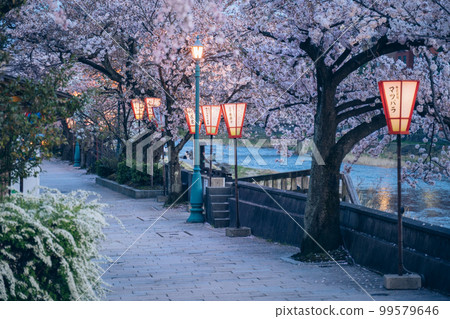 Higashi Chaya District and Asano River at dusk Light up of cherry blossoms [Kanazawa City] 99579646
