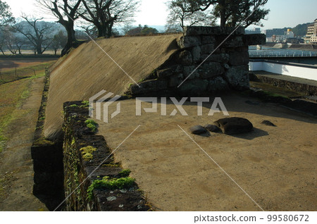 Hitoyoshi Castle 99580672
