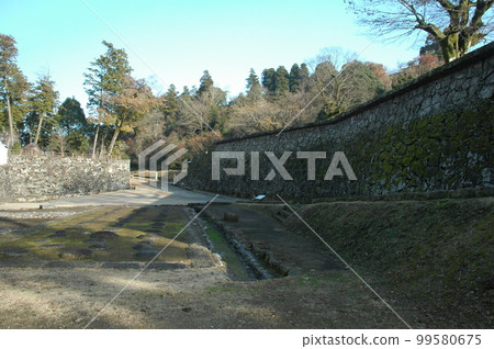 Hitoyoshi Castle 99580675