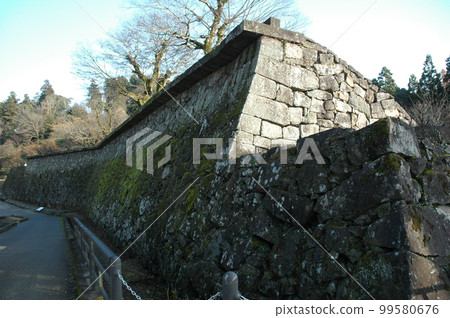 Hitoyoshi Castle 99580676