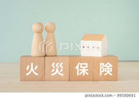 寫成火災保險、玩偶和房子的積木 99580691