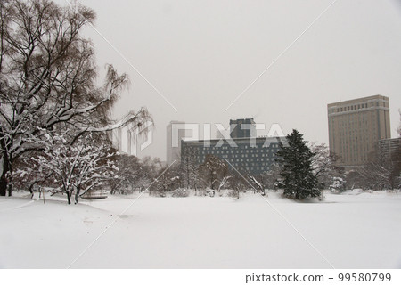 Sapporo Nakajima Park (winter scenery)_6643 99580799