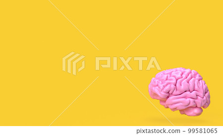 The pink brain on yellow background for creative or idea concept 3d rendering The pink brain on yellow background for creative or idea concept 3d rendering 99581065