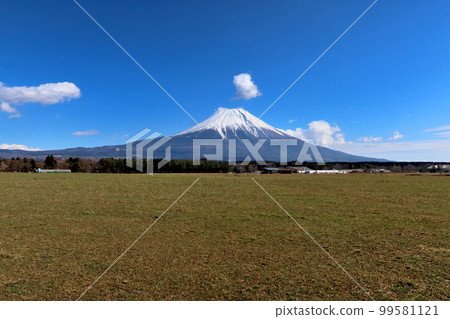 朝霧高原,富士山 朝霧高原,富士山 99581121