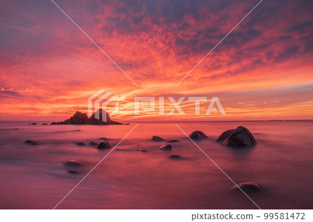 櫻井二浦的夜景 99581472