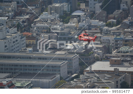 Tokyo Tokyo 99581477