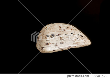 macro mineral stone Petrified wood on a black background 99581529