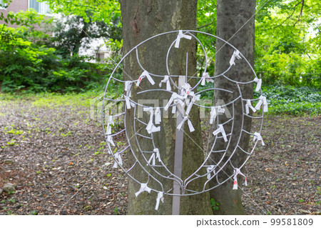 Omikuji fortune papers at shrine, Kanazawa, Japan. 99581809