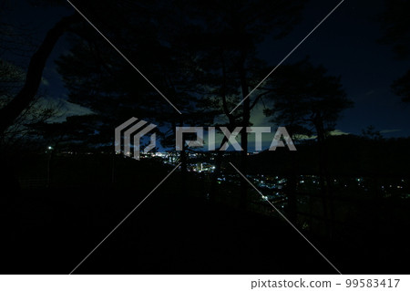 日本夜景百選 從織姬公園看足利市夜景 日本夜景百選 從織姬公園看足利市夜景 99583417