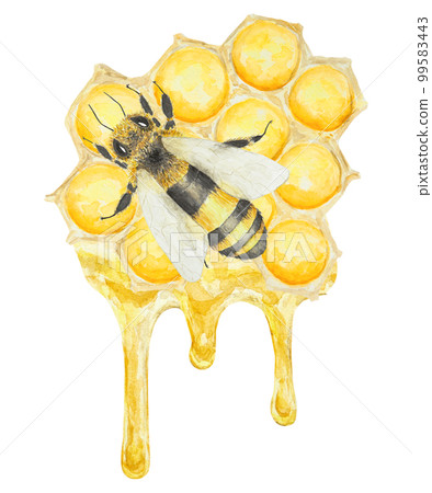 Watercolor hand drawn bee isolated on white background 99583443
