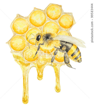 Watercolor hand drawn bee isolated on white background 99583444