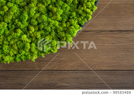 Green decorative soft moss for interior decoration Green decorative soft moss for interior decoration 99583489