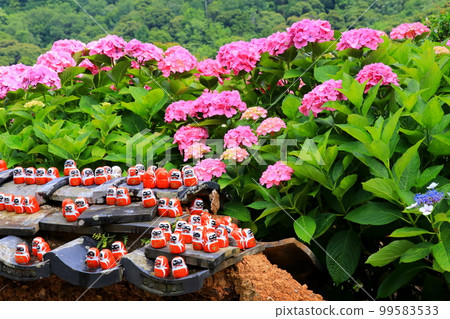 Daruma and Hydrangea at Katsuo-ji Temple 99583533