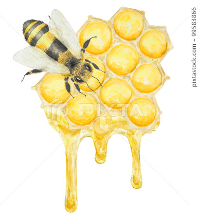 Watercolor hand drawn bee isolated on white background 99583866