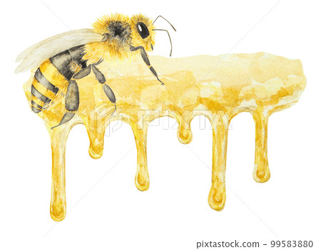 Watercolor hand drawn bee isolated on white background 99583880