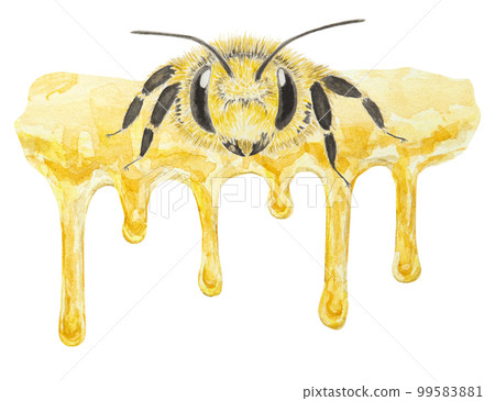 Watercolor hand drawn bee isolated on white background 99583881