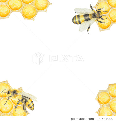 Watercolor hand drawn bees and honey isolated on white background 99584000