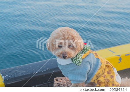 Dog and Mt. Fuji Dog and Mt. Fuji 99584854
