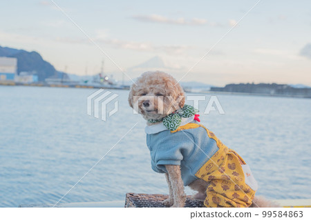 Dog and Mt. Fuji Dog and Mt. Fuji 99584863