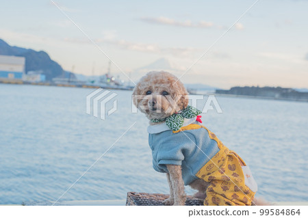 狗和富士山 99584864