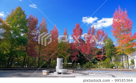 香川運河紀念公園的紅葉[香川縣三豐市] 99585364