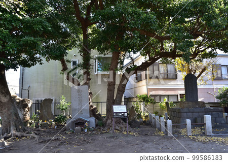 鎌倉/ Wadazuka 99586183