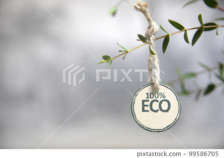 Green leaves and Eco Friendly Paper paper on carton, copy space for text 100 percent with green leafs natural design Green leaves and Eco Friendly Paper paper on carton, copy space for text 100 percent with green leafs natural design 99586705