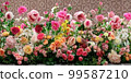 花園 99587210