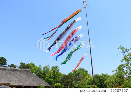 鯉魚旗 端午節 小月天空 鯉魚旗遊藍天 99587307