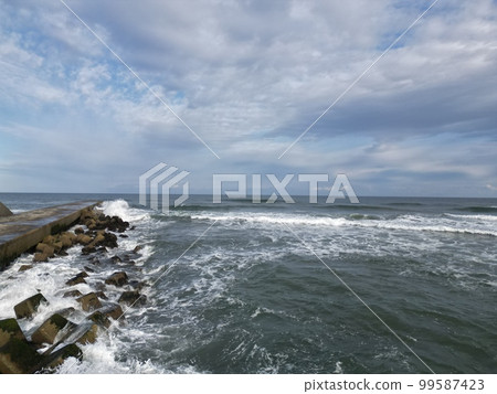 洶湧的海浪拍打著九十九里一宮的四足動物 洶湧的海浪拍打著九十九里一宮的四足動物 99587423