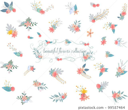 具有流行和柔和色彩的時尚植物的白色背景矢量花集插畫素材 99587464
