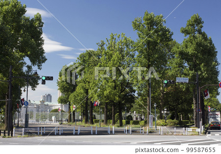 國賓館周邊風光 99587655