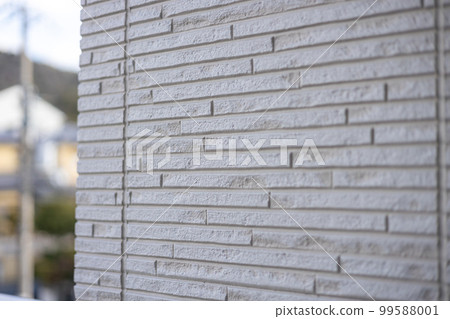 獨立屋門廊外牆及壁板 獨立屋門廊外牆及壁板 99588001