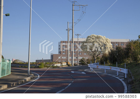 Scenery around Matsudo City New Tokyo Hospital Scenery around Matsudo City New Tokyo Hospital 99588303