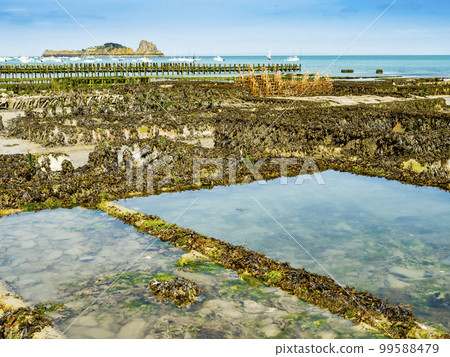 Amazing view of oyster farm at low tide in a bright sunny day, Cancale coast, Brittany, France 99588479