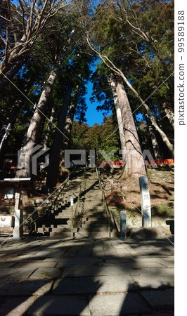 寶來山東照宮(愛知縣) 寶來山東照宮(愛知縣) 99589188